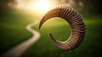 Aries Daily Insight, Feb 26, 2026: Cultivate Success Through Diligent, Step-by-Step Efforts