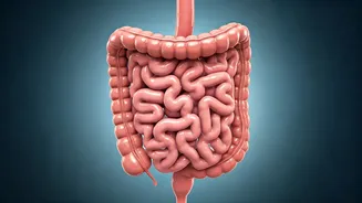 Diet Secrets Unveiled: 10 Healthy Diet Indicators!