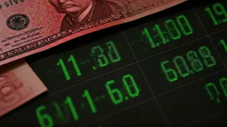 Indian Market Resilience: SIPs Against FIIs