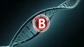 Unlocking the Link: Blood Type B and Your Type 2 Diabetes Odds