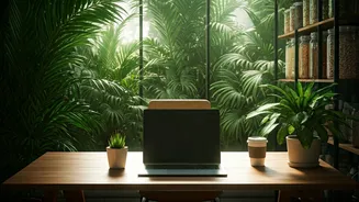 Bali Zero Waste Community Hubs Attract Indian Freelancers