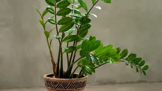 How Gen Z Decorators In Smaller Metros Adopt Sustainable Terracotta Pottery Elements