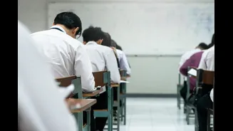 4kg Rice Costs Rs 420, Calculate Price Of 12kg: Why This Simple Math Exam Question Went Viral