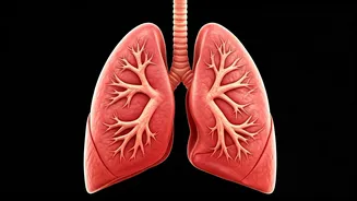 Sports Fans: Eat These 7 Foods For Lung Health
