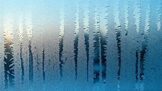 Bengaluru's Chill: Unpacking the Cold Wave Alert in Karnataka