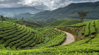 Which Hill Station Is Called the ‘Kashmir of South India’?