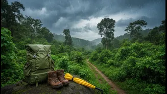 Rainy Season Travel Guide With Essential Do's And Don'ts For Everyone