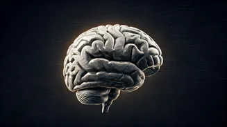 Why Human Creativity Could Become Even More Valuable