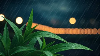 Rainy Days Need A Different Skincare Routine