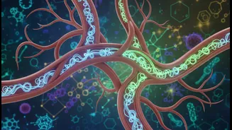 Blood Vessels, Inflammation And Weight Maintenance: The Strongest Explainer Hook In Exercise And Weight-Loss Medication Research