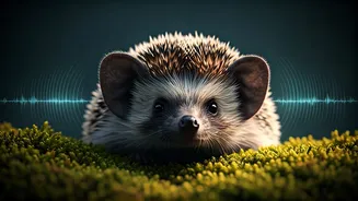 Hedgehog's Incredible Hearing: Unlocking Secrets Beyond Human Perception