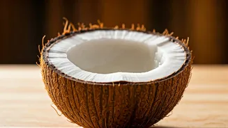 Budget 2026: Coconut's Rise & India's Fiscal Focus