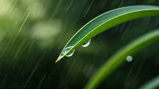 The Rainy Season Acne Guide Everyone Needs