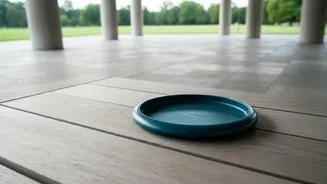 A Short Frisbee Session Can Complement Walking or Strength Training