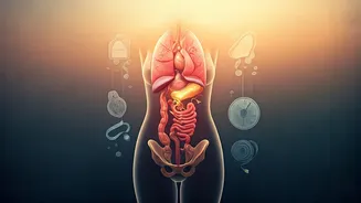 Related Stories banner