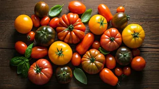 Five Delectable Tomato Recipes to Revolutionize Your Cooking