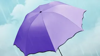 Why A Beautiful Monsoon Forecast Is Not Enough Before A Hill Holiday
