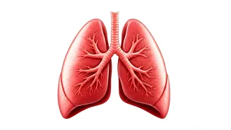 Eat These 7 Foods For Healthy Lungs