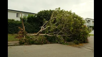 Understanding Cyclones: How They Form and Their Impact
