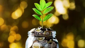The Case For Maturity Planning After The Small-Savings Rate Hold This Quarter