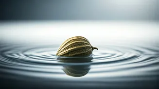 Carom Seed Water Is The Best Natural Digestion Reset