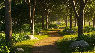 Shinrin-Yoku Studies Often Compare Forest Settings With Urban Environments