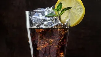 Cold-Brewed Nilgiri Tea Crafters Elevate Low-Sugar Drink Menus Across Urban India