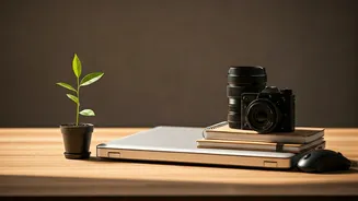 How Portfolio Careers Help Young Professionals Beat Workplace Burnout