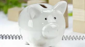 Indian investors save substantial capital by opting for zero commission direct mutual fund options