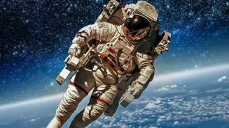 How Closed Loop Life Support Systems Manage Space Station Air Cycles For Astronauts