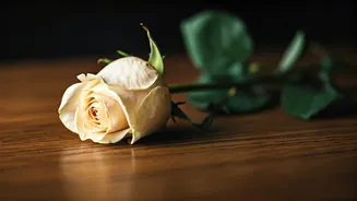 Katie Bates and Travis Clark: Relationship Revelations