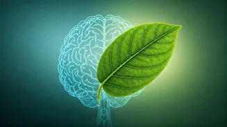 Ozempic's Unexpected Perk: Lowering Depression and Anxiety Risk, Lancet Study Reveals