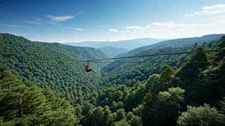 These Forest Flights Belong On Your Bucket List