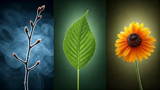 Related Stories banner