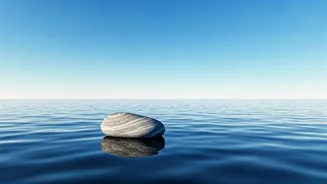 Navigating the Waters of 'Who Am I?' A Journey