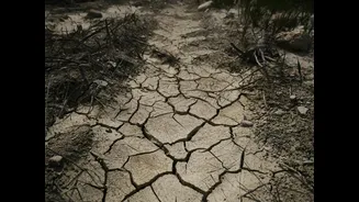 Hot and Sunny Weather Expected in Khorabeesal, Rajasthan