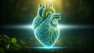 Unlock Global Health Secrets: Taiwan to Switzerland's Wellness Wonders!