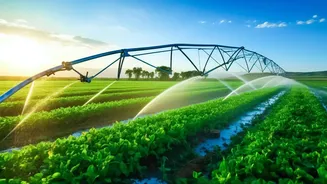 Rainfall Gaps May Become A Bigger Problem For Indian Farmers