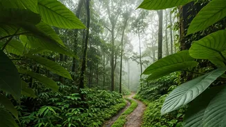 The Absolute Best Northeastern Eco Resort Monsoon Retreat Packages Online