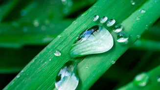 AI Data Centres Highlights AI's Water Footprint
