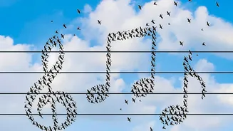AI Study Finds Eight Recurring Building Blocks Across Songbird Music