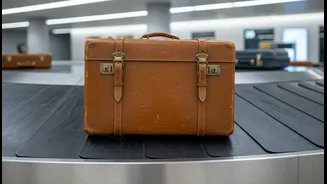 Air Travel Rights Every Frequent Flyer Should Understand