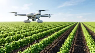 How Drones Powered By AI Help Nashik Grape Farmers Stop Downy Mildew Fast