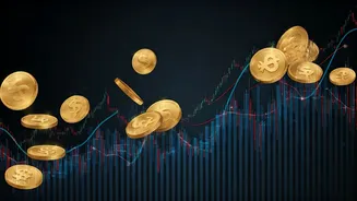 Indian Market's Shifting Sands: Gains, Losses, and the Future