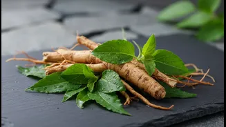 Why Young Adults In Tech Hubs Embrace Coastal Healing Herbage To Combat Monsoon Sluggishness
