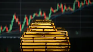 Decoding Wealth Edition: Investment Insights