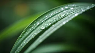 মনসুনে স্কিনকেয়ার গাইড