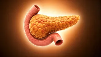 Reverse Prediabetes: No Weight Loss Needed!