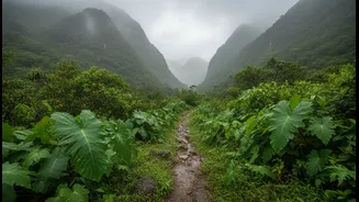 How young domestic travellers discover inner peace along monsoon spiritual slow-travel itineraries