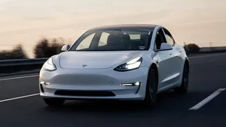 Tesla's Visualisation Detects a Dense Mix of Vehicles and People